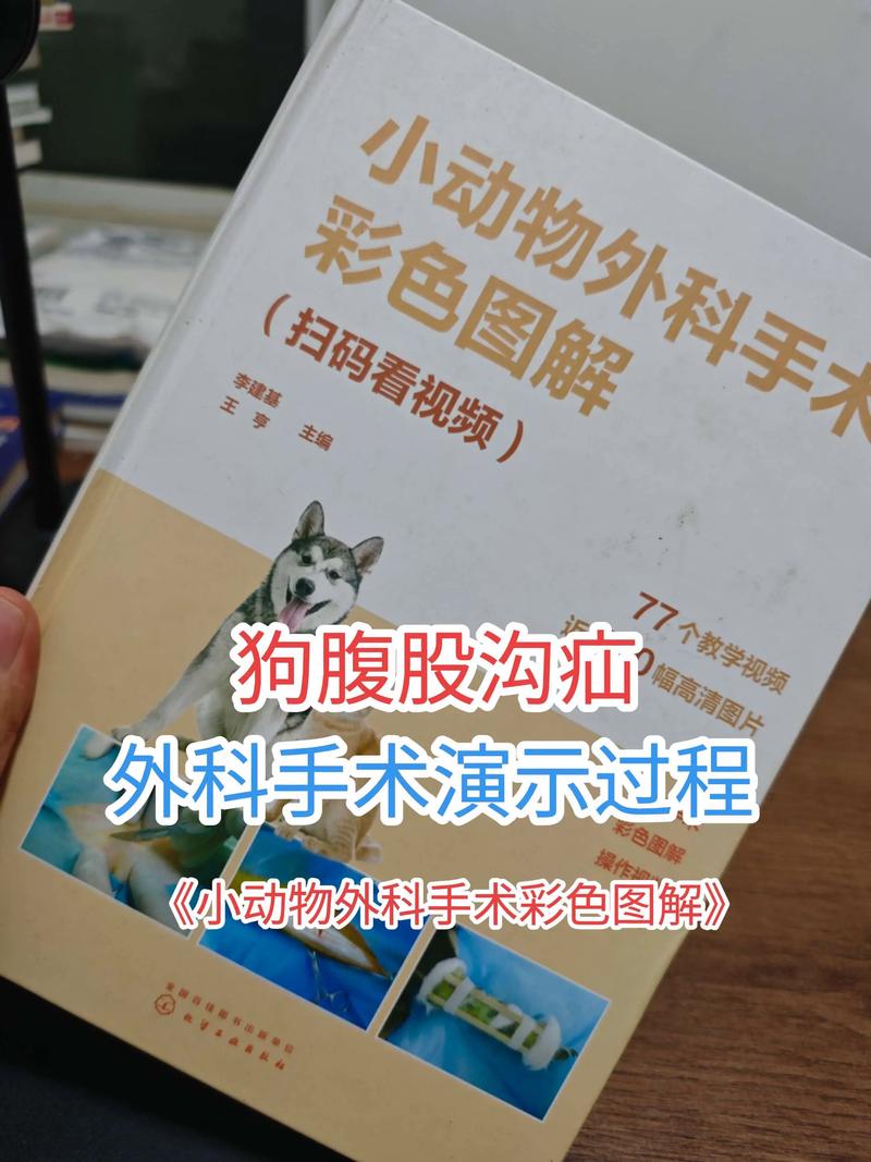 狗狗疝气一定要手术吗