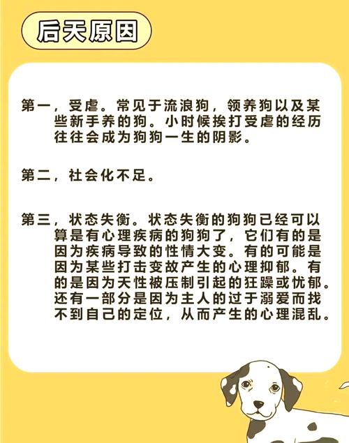 狗狗性格胆小,看到人就躲起来,该怎么办?