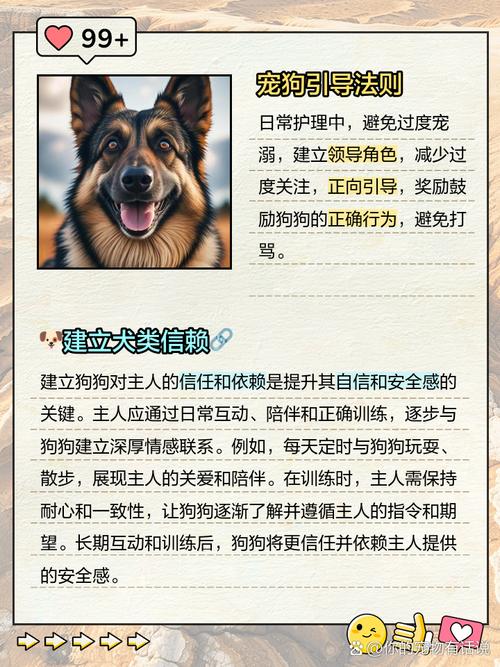 狗狗胆小怎么训练能让它变得大胆?