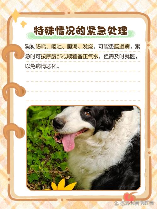 狗狗肠鸣怎么回事