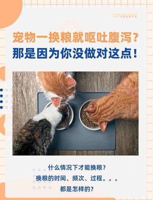 狗可以吃猫粮吗会不会死