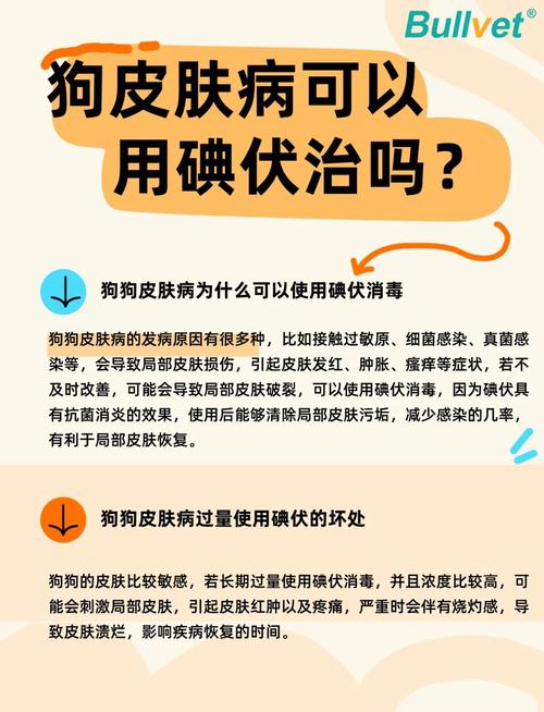 狗狗耳朵怎样清洗,用碘伏可以吗?