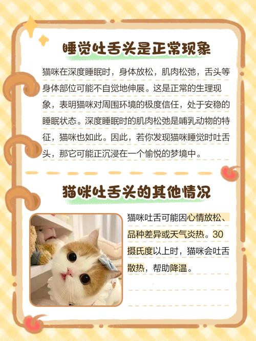 猫咪睡觉为什么吐舌头