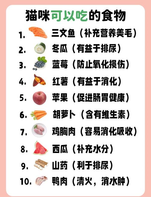 猫能不能吃瓜子