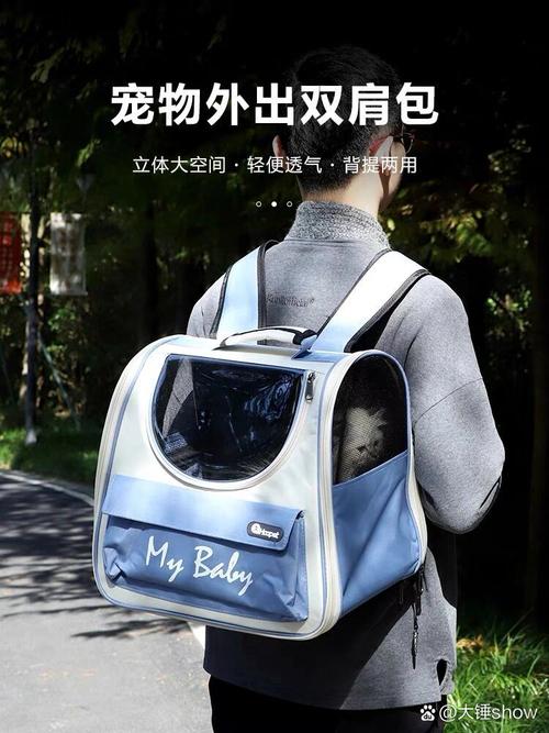 把猫咪放猫包里可以上地铁吗?有什么依据?