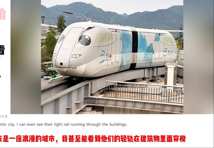 重庆轨道交通不能带小动物?