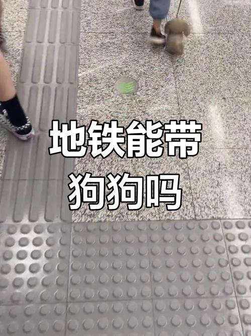 用航空箱可以将狗狗带上地铁吗