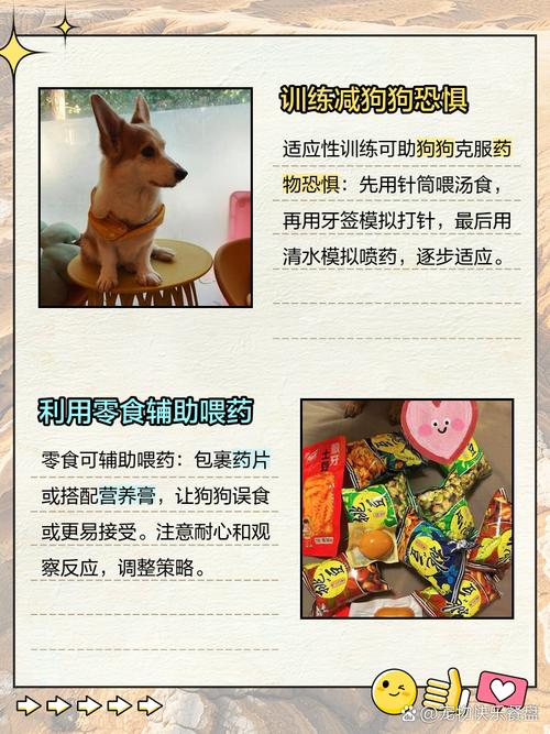 巴哥犬任性不吃药该怎么办?