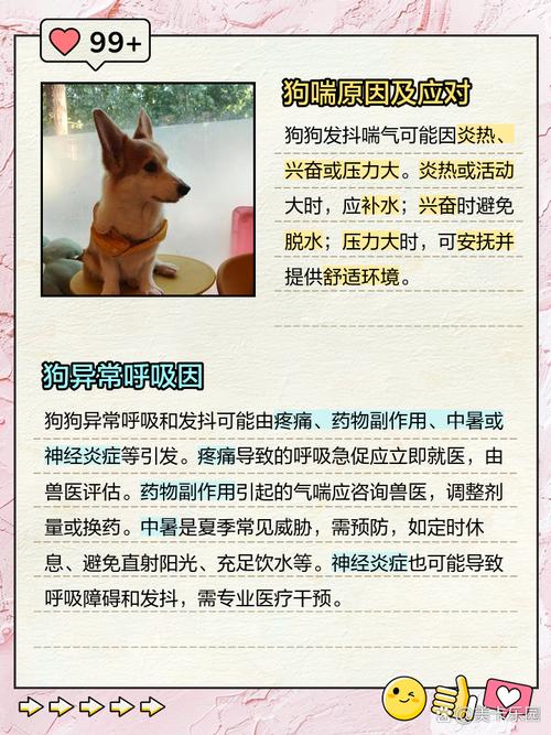 狗狗喘气发抖还有多久生