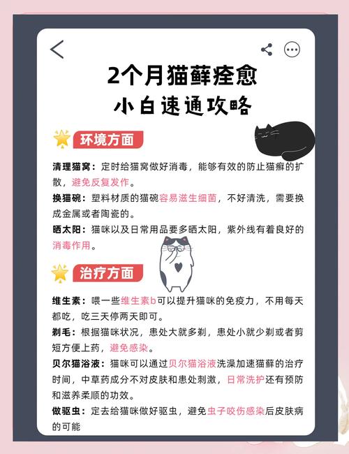 小猫得猫藓怎么办