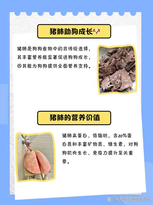 猪肺为什么要喂狗狗