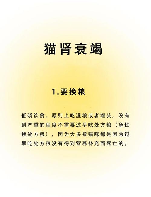 猫咪得了肾衰竭不治疗能活多久