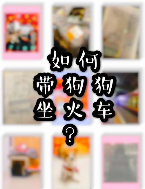 带狗狗坐火车都需要什么手续?