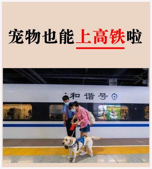 宠物狗可以带上火车吗