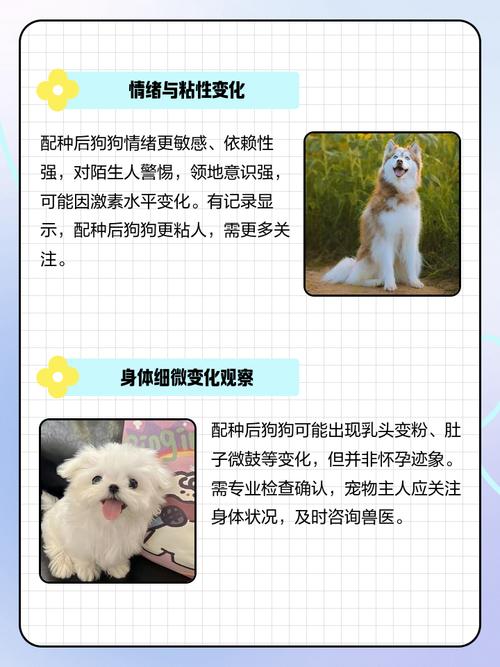 狗狗怀孕4个月才会生吗