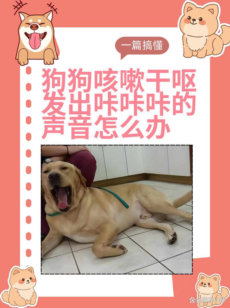 狗狗咳嗽的症状