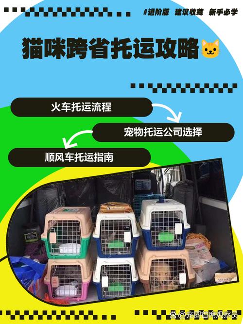 猫咪怎么带上火车或者托运什么的带到外地?