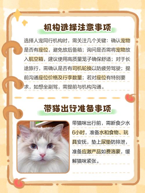 火车上带猫发现了会罚款吗