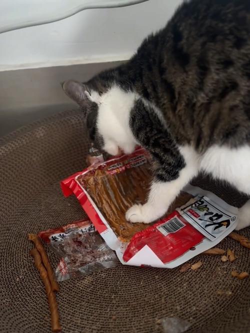 田园猫能不能吃辣条