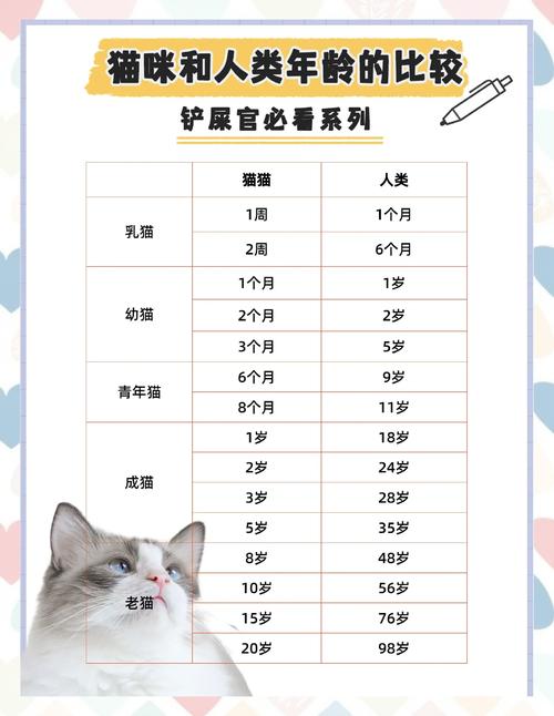 怎么看猫的年龄