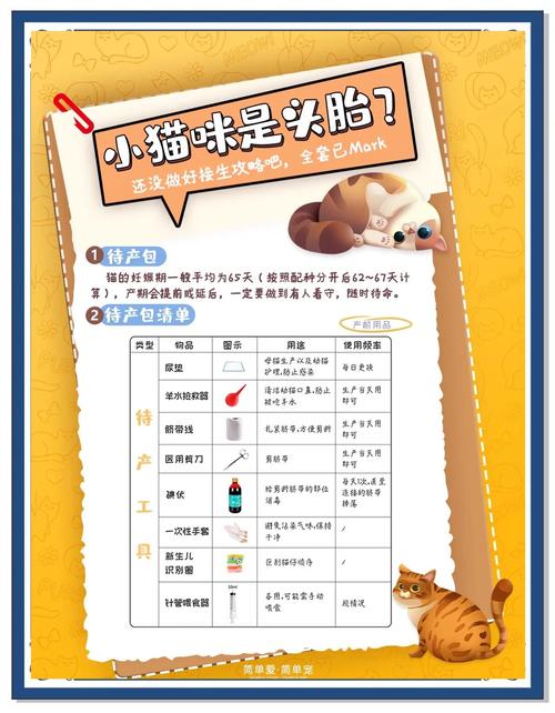 如何给猫咪接生