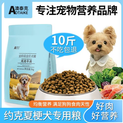 约克夏多大吃干狗粮