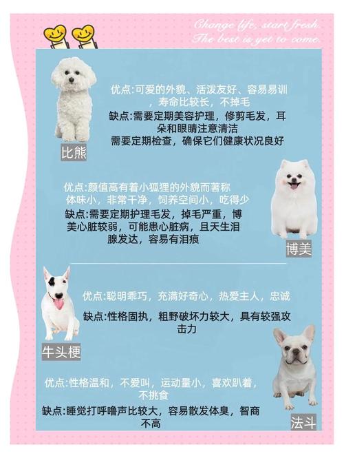 泰迪狗狗多久会去世一般养到几岁?