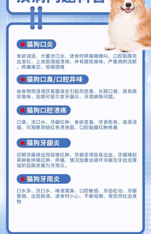 猫牙龈红肿会自愈吗