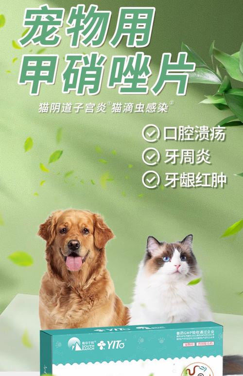猫牙龈红肿吃什么药好
