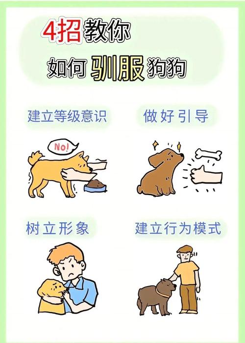 怎样才能让狗狗听话?