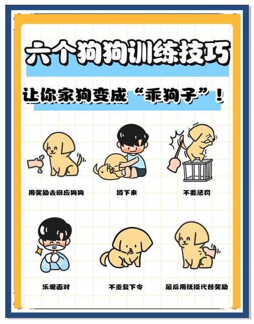 怎样训练才能让狗狗听话,训练狗狗的误区