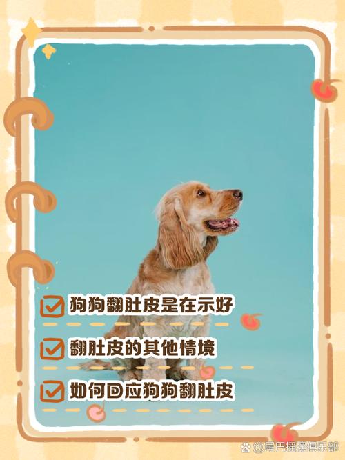 为什么一摸狗狗它就翻肚皮