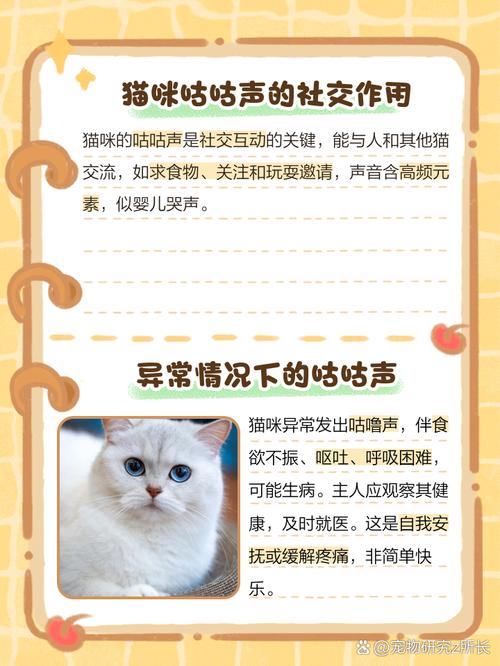 猫咪咕咕咕的叫声