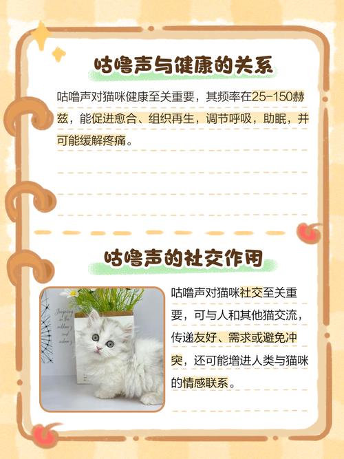猫猫为什么发出咕咕声