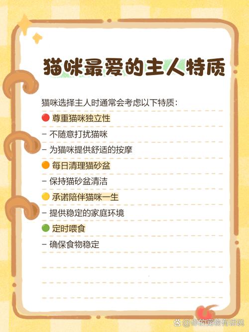 为什么有的人特别招猫咪喜欢