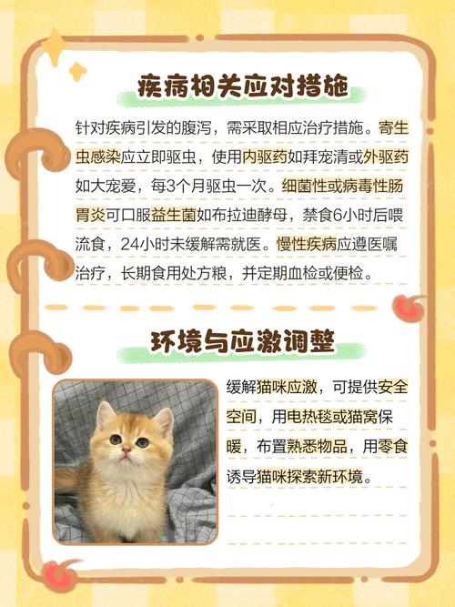 小猫拉肚子没精神嗜睡