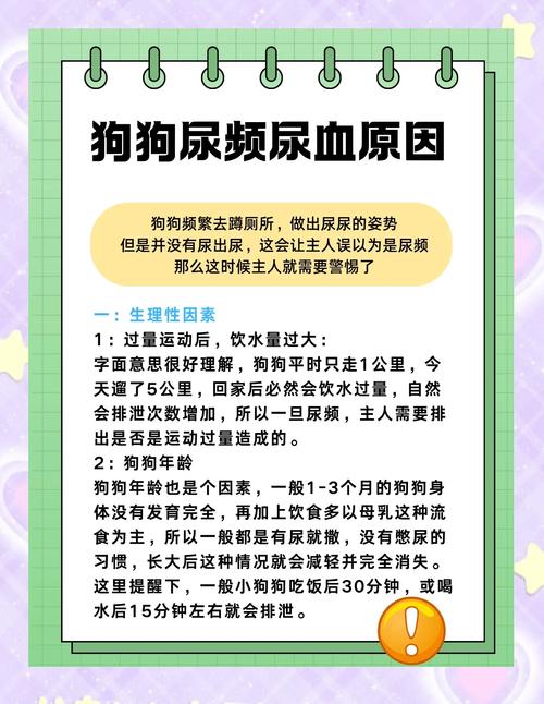狗狗为什么总是尿不停而且每次都尿一点