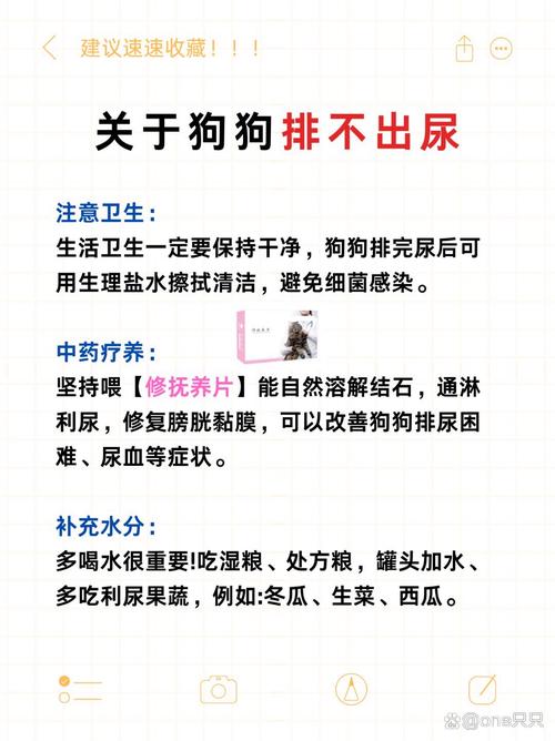 狗狗乱尿的5个原因,你知道吗?