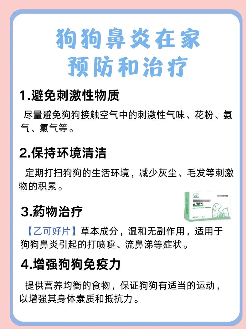 狗狗鼻子像鼻塞怎么办,狗鼻子像不通气是的