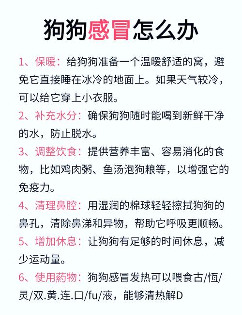 狗狗感冒的中医治疗方法