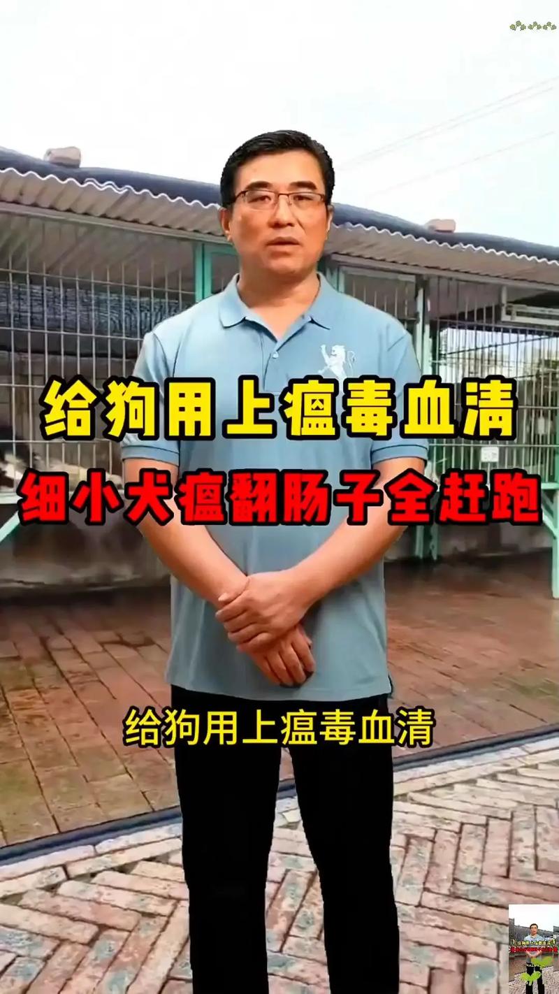 狗打了血清会怎么样?