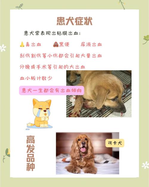 打了血清的狗的特征