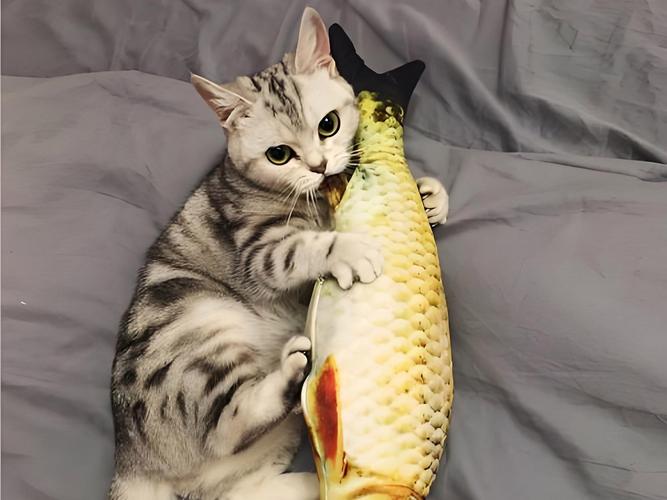 猫可以吃什么鱼?
