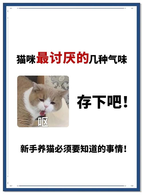 猫咪最怕什么气味儿