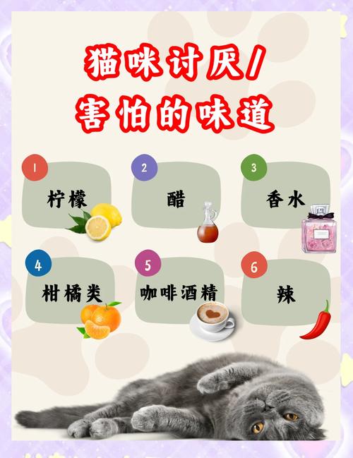猫怕什么味道