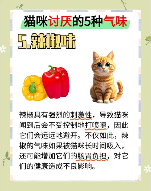 猫咪害怕什么气味,怎样驱逐猫咪?