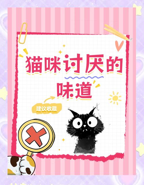 猫怕什么气味一闻就跑