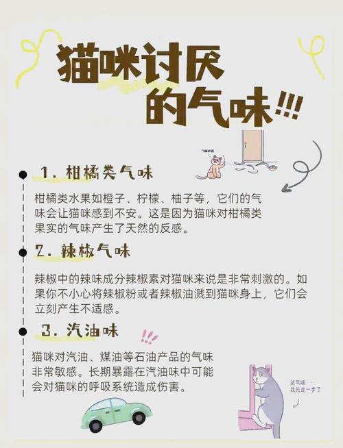 怎么驱赶猫,猫怕什么东西