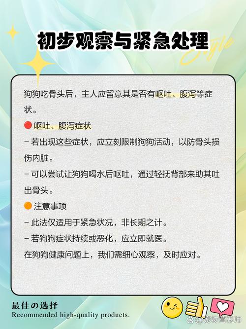 我家狗吃了点鸡骨头三天没吃饭,没拉血,没吐血,就是不吃饭,怎么办