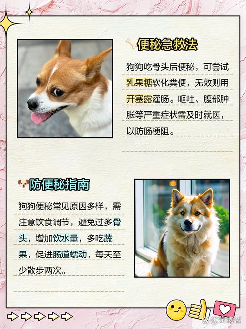 我家狗狗4月龄,误吞一个蛮大的骨头,还能吃饭,也没有异状,不过我很担心...